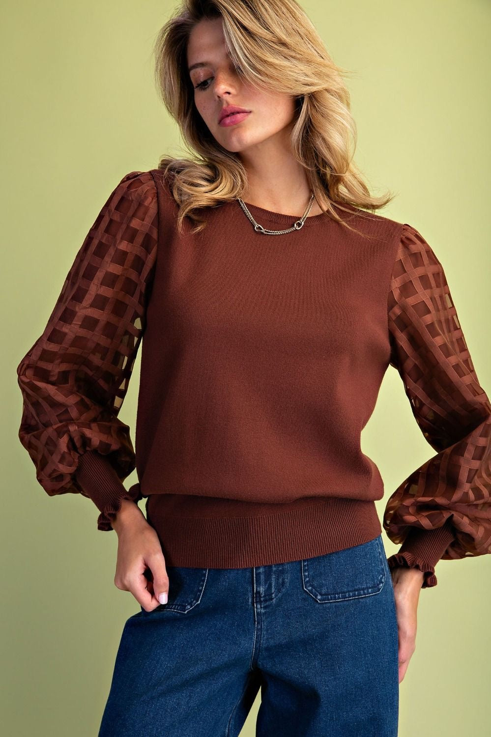 Eliza Organza Sleeve Knit Sweater