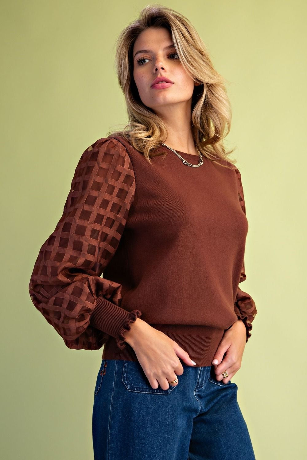 Eliza Organza Sleeve Knit Sweater
