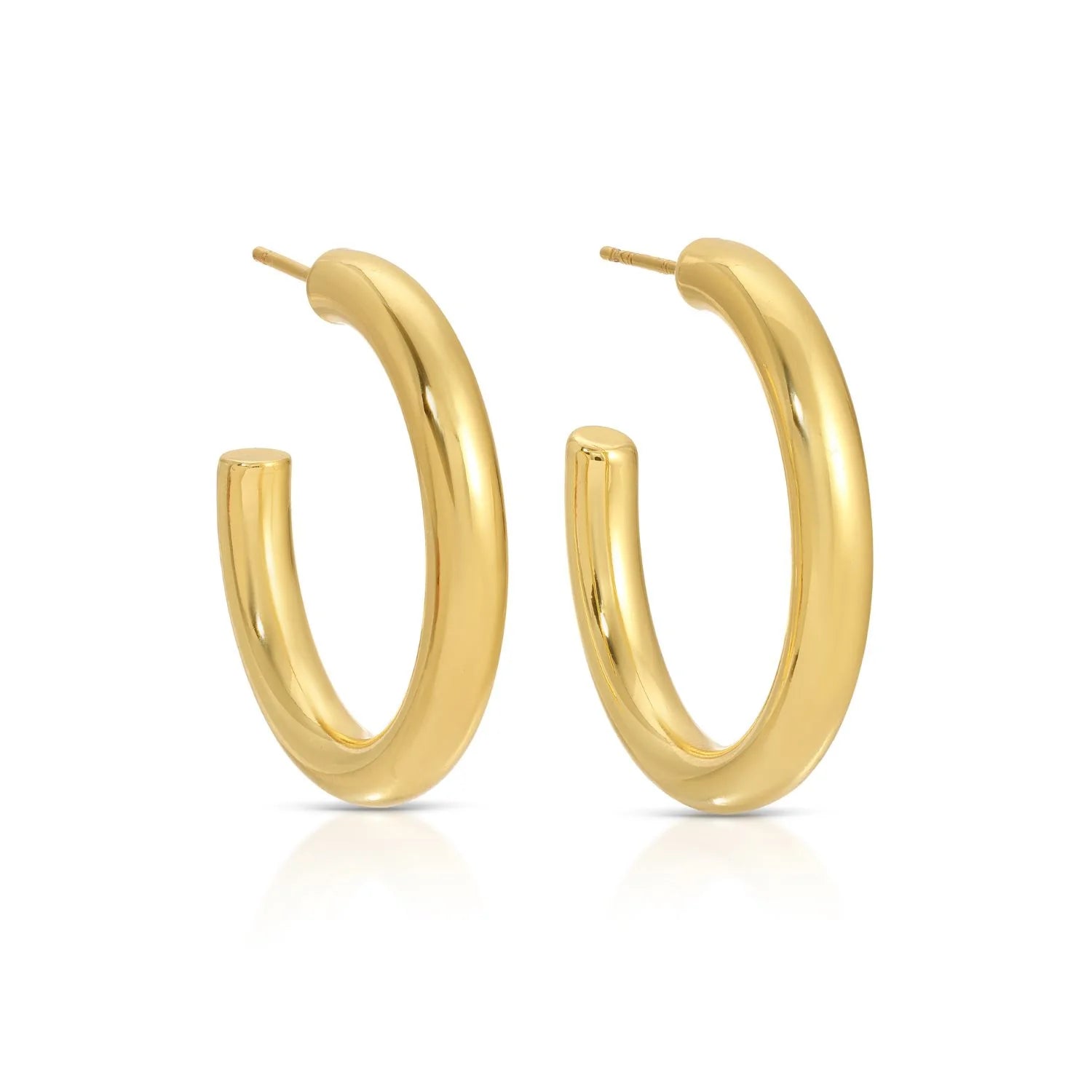 Splendid Iris The Perfect Hoop Earrings