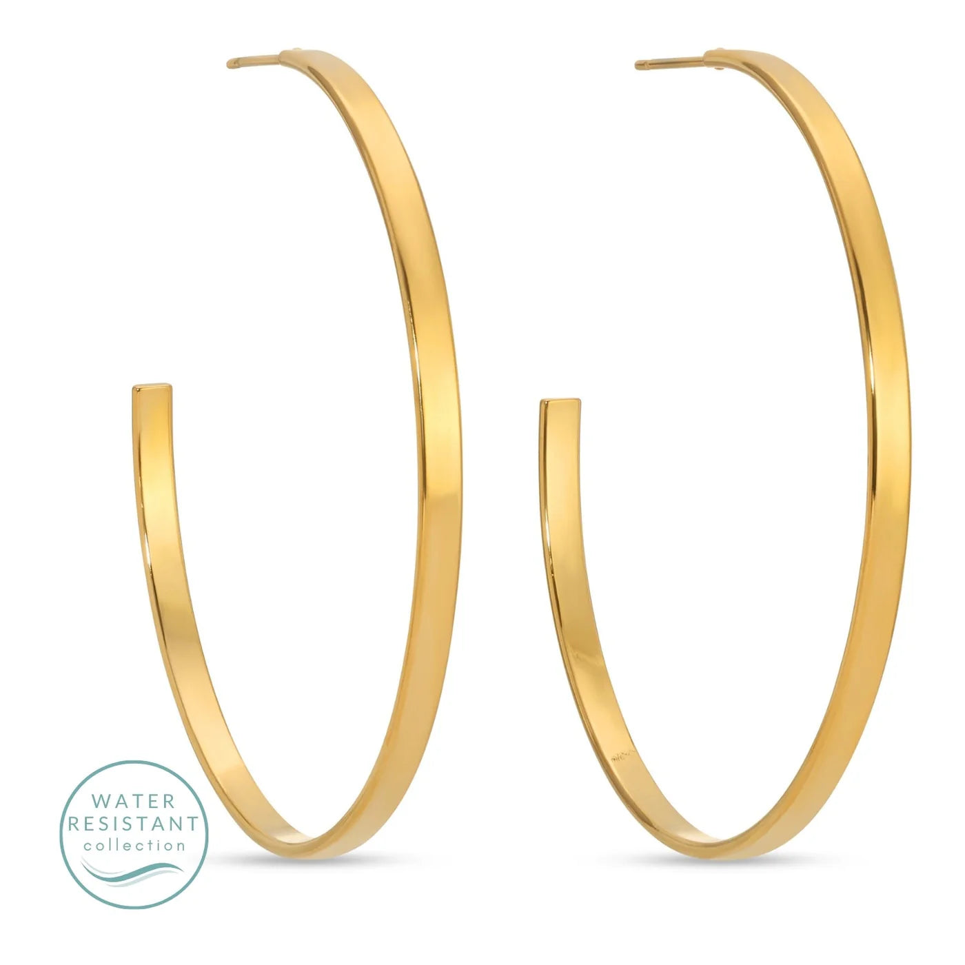 Splendid Iris Large Flat Hoops