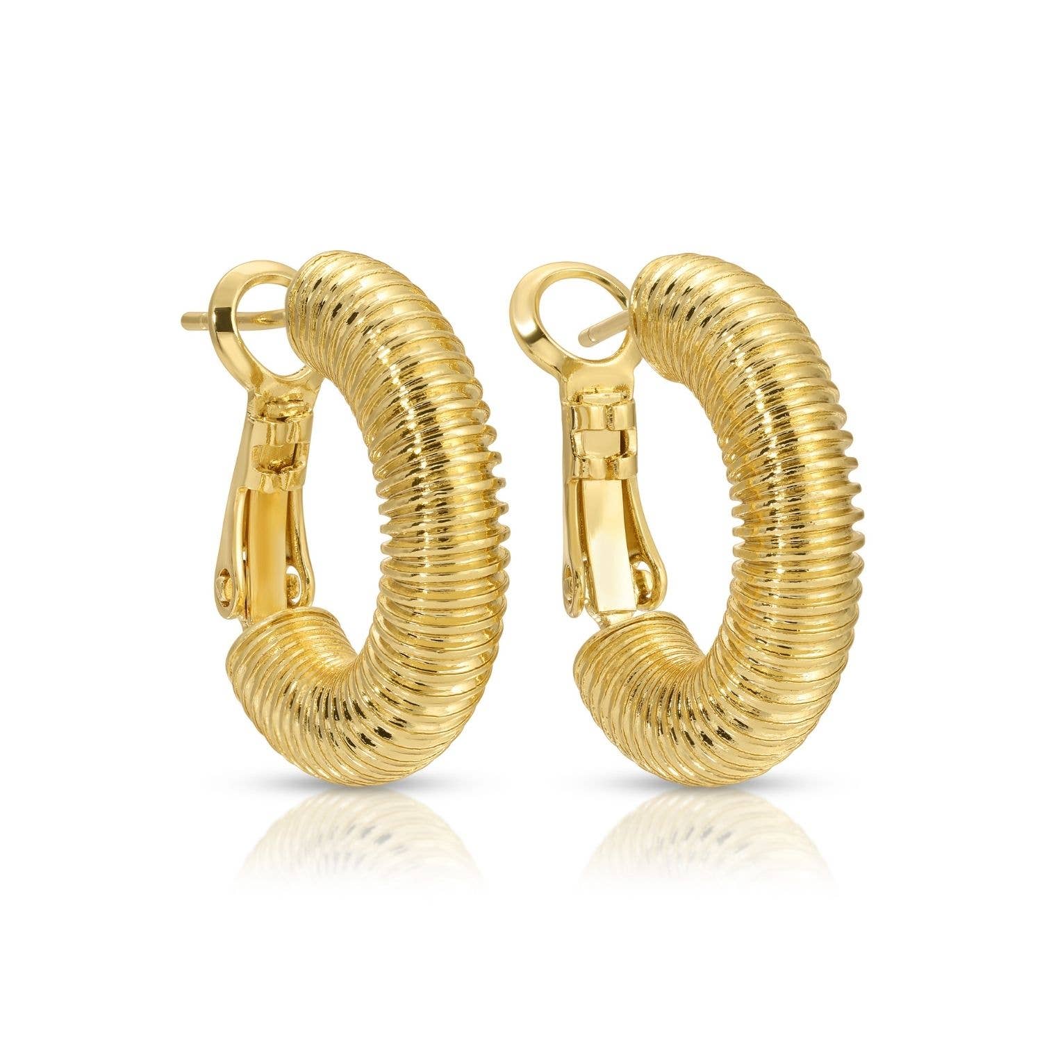 Coil Lever Back Hoops